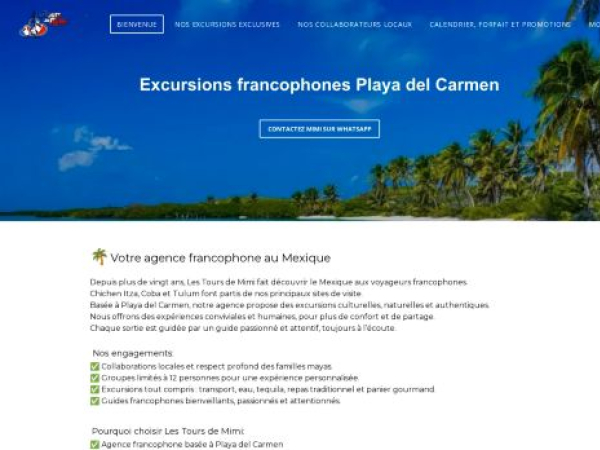 agencelestoursdemimi.com
