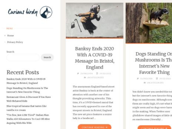 curiousbirdy.com