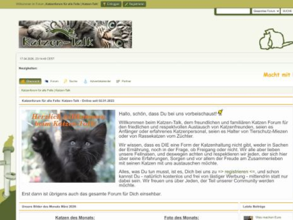 katzen-talk.de