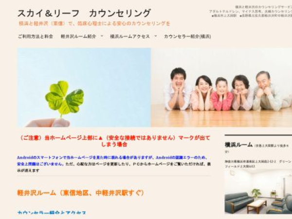 skyleaf-counseling.com