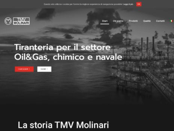 tmvmolinari.it