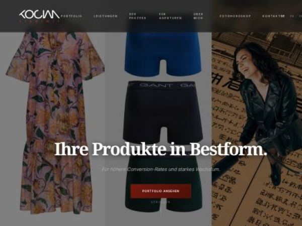 vladimirkocian.com